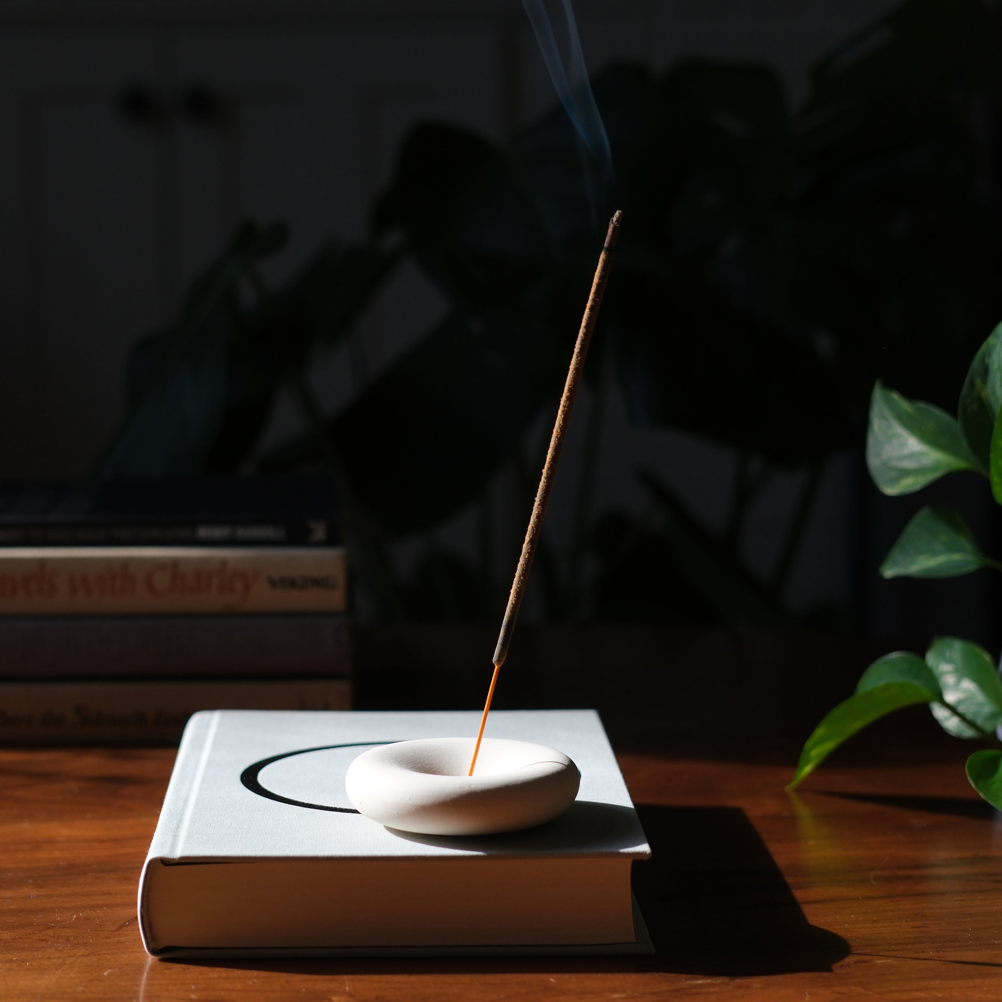 Smewell Eve Incense home accessory with burning incense sticks and decorative holder, creating a calming atmosphere.