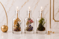 Image of Logos Candles Truth & Transformation Trio with three candles in glass holders, featuring labels with inspirational designs.