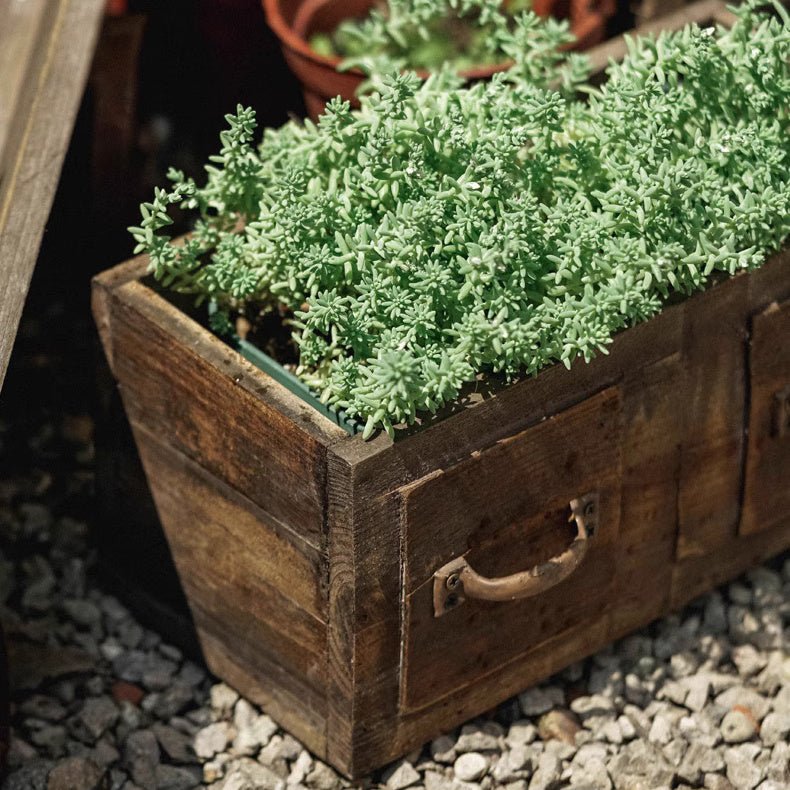 RusticReach farmhouse wooden box for succulents or flowers, with rustic finish and ample space for plant arrangements.