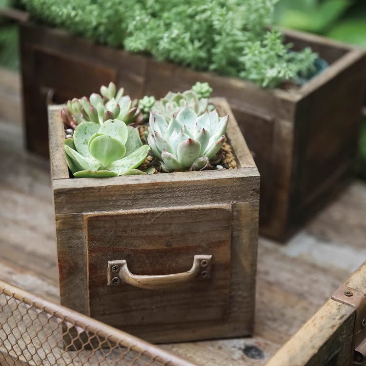 RusticReach farmhouse wooden box for succulents or flowers, featuring a rustic design with weathered wood and spacious interior.