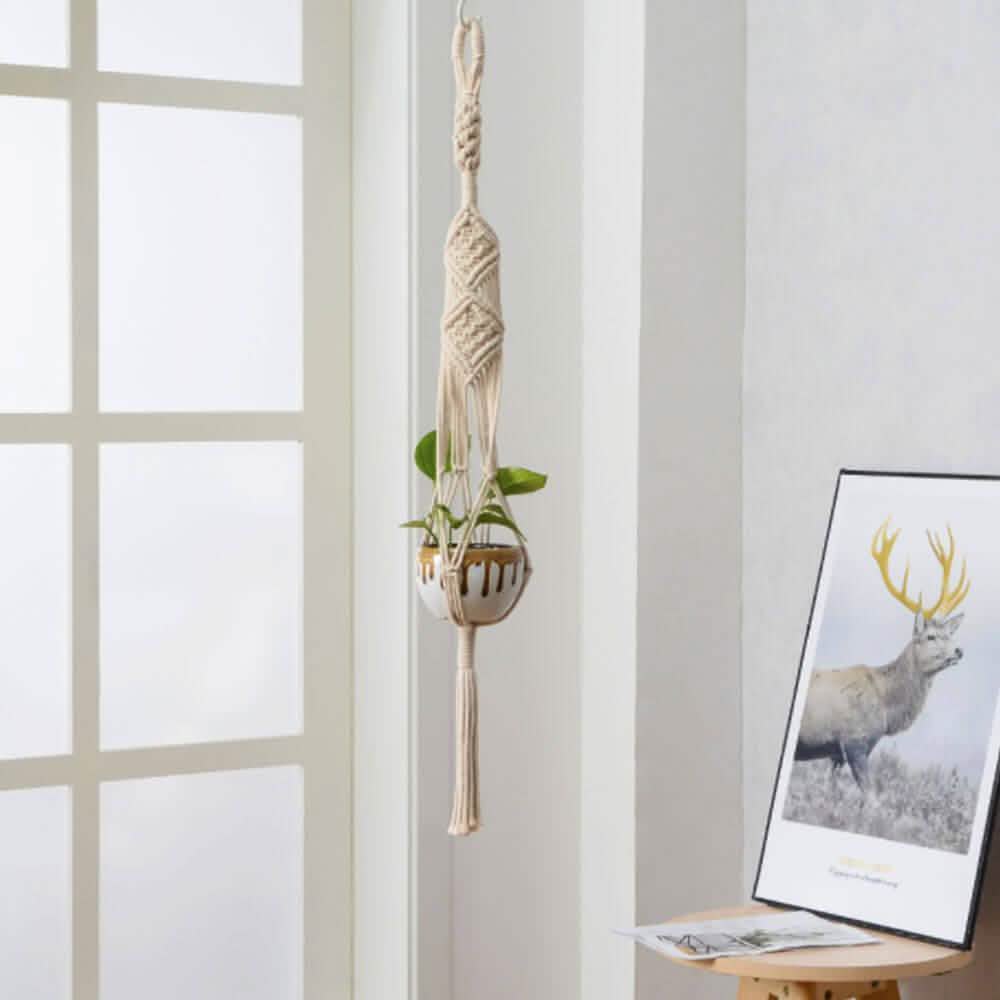 Hand-woven macrame tapestry plant hanger holder for indoor decor, showcasing intricate knot patterns and natural cotton material.
