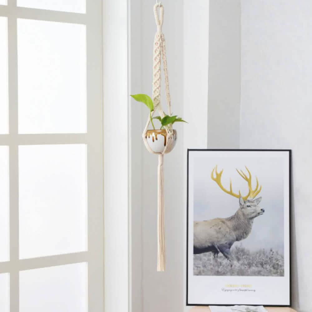 Hand-woven macrame tapestry plant hanger holder for indoor decor, featuring intricate knots and a natural finish.