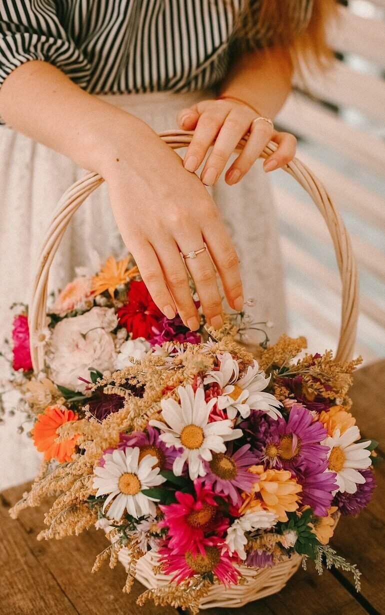 bouquet, basket, decorations, young woman, woman, hands, picnic, chamomile