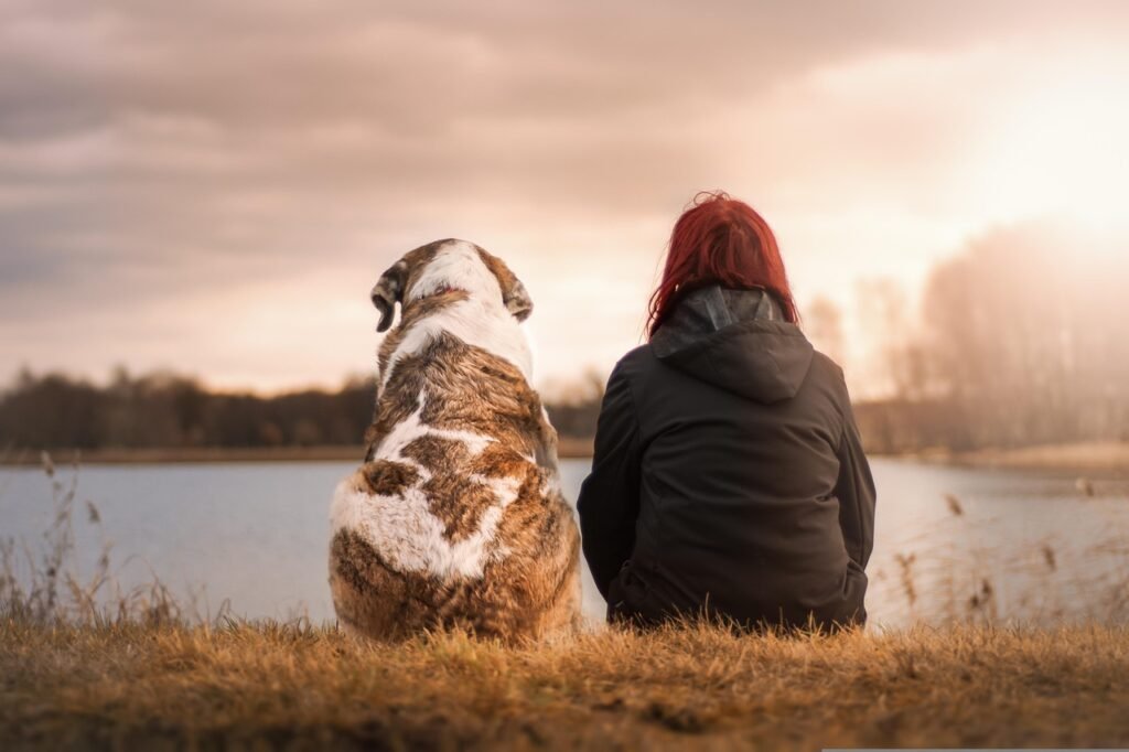 happy holidays, woman, dog, nature, pet, friends, suit, sunset, animal, together, friendship, camaraderie, best friends