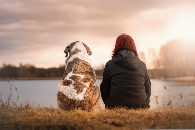 happy holidays, woman, dog, nature, pet, friends, suit, sunset, animal, together, friendship, camaraderie, best friends